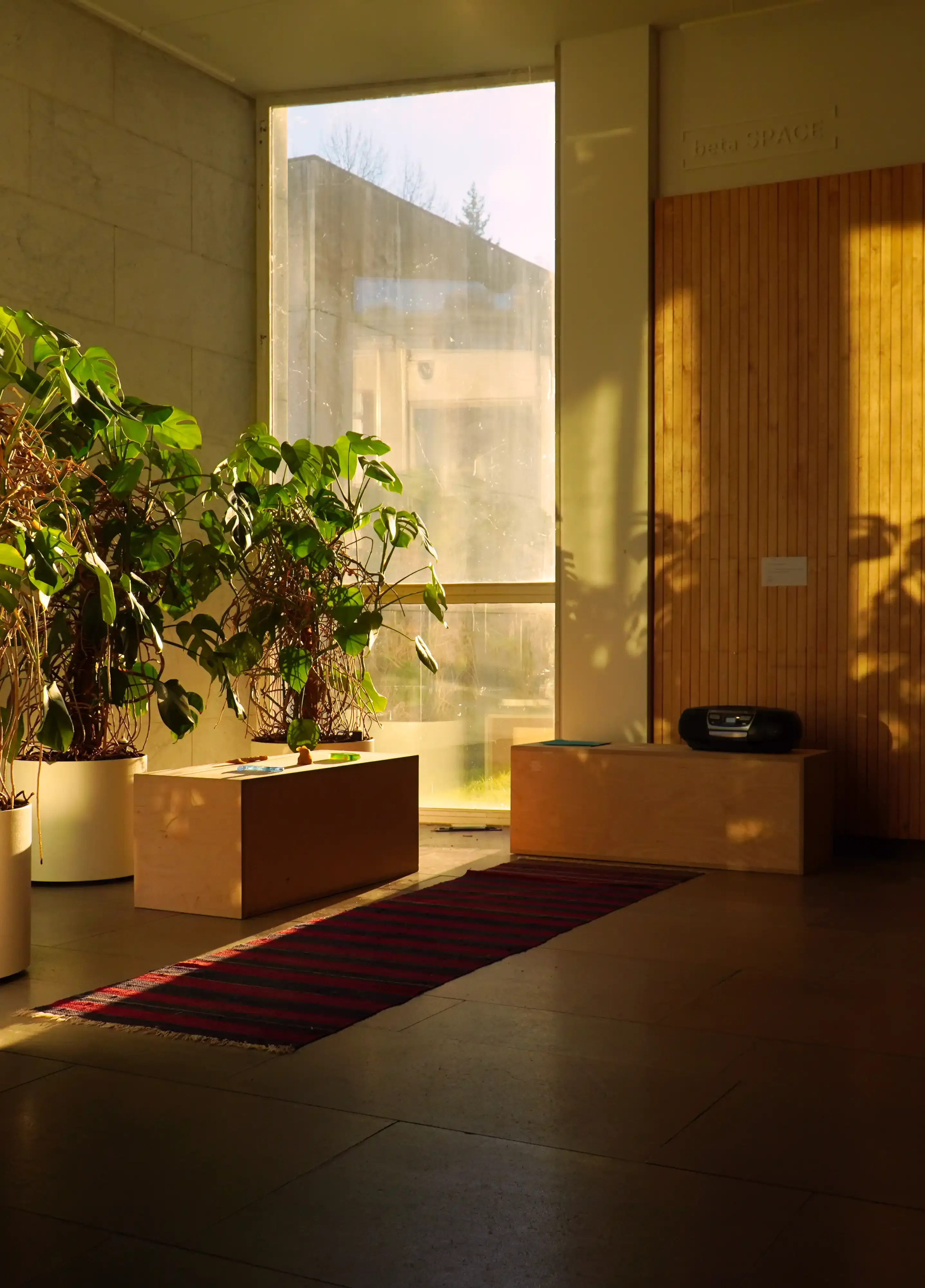 A space with sculptures, radio and warm sunlight on a wooden wall.