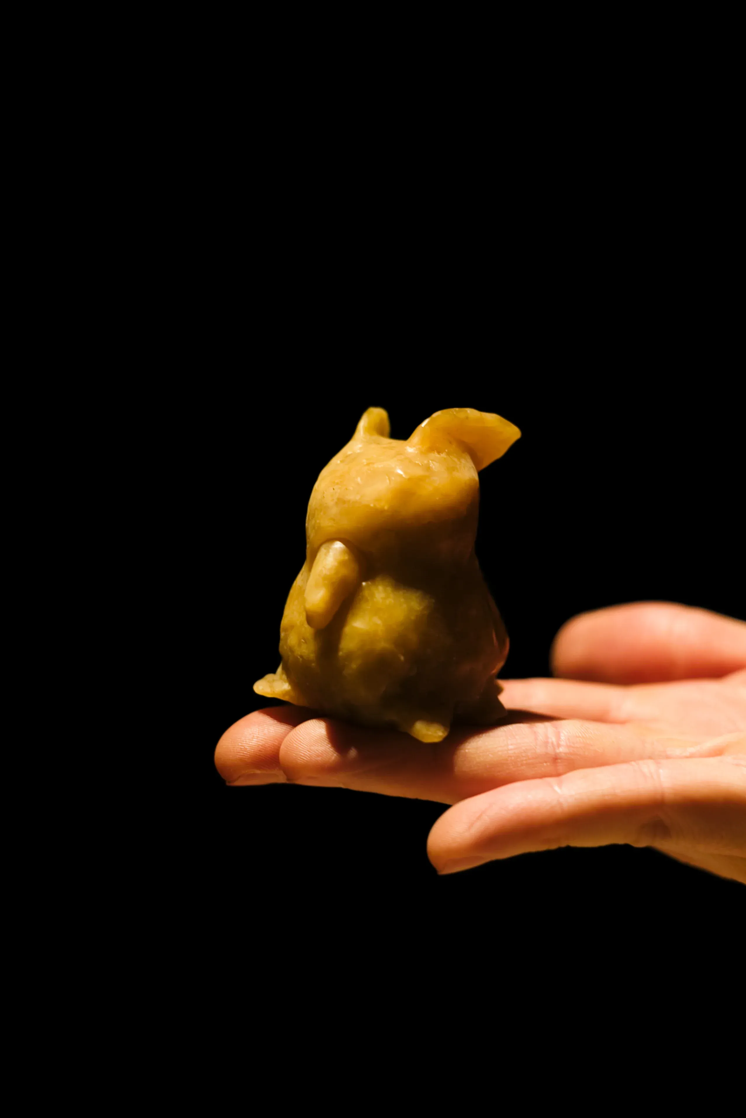 A wax sculpture resembling a deepwater octopus.