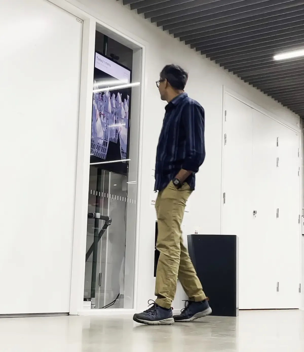 Passerby looking at chicken.